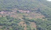 Trail Walking Val-d'Aigoual - Bonperrier - col de l'Homme Mort - Photo 1