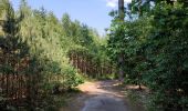 Tocht Stappen Hechtel-Eksel - Promenade vers la piste dans les arbres  - Photo 7