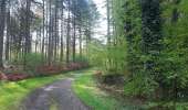 Trail Walking Toulon-sur-Arroux - RANDO_La_Croix_Des_Autrichiens - Photo 8