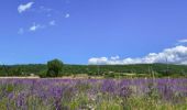 Trail Walking Espeluche - Espeluche.  Le Bois Jamot 8km - Photo 3