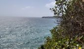 Tour Wandern Le Lorrain - Boucle Crabière - Anse Rivière Rouge - Photo 19