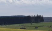 Tour Wandern Libramont-Chevigny - rando laneuville(libramont)18/02/2021 - Photo 9