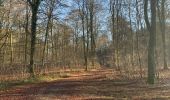 Randonnée Marche Virton - Cimetière militaire français de Laclaireau  - Photo 8