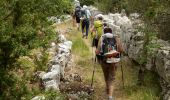 Trail Walking Pradons - Pradons Gens Abeille 18km - Photo 7