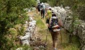 Tocht Stappen Pradons - Pradons Gens Abeille 18km - Photo 7