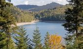 Trail Walking Badonviller - Tour du lac de Pierre-Percée depuis les cabanes du lac - Photo 18