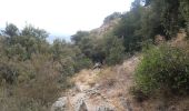 Trail Walking Montesquieu-des-Albères - dans les environs de Montesquieu  - Photo 9