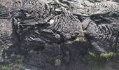 Randonnée Marche Sainte-Rose - Le Piton de la fournaise (aller)  - Photo 11