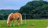 Trail Walking Palaiseau - Le chemin de Peguy Etape 1  - Photo 5