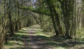 Tocht Stappen Vitrimont - Circuit des Quatre Vents - Photo 2