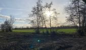 Trail Walking Assenede - 20220205 WSV De Trekvogels Boekhoute - Photo 6