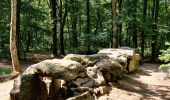 Percorso Marcia Le Tronchet - Forêt du Mesnil - Photo 1