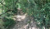 Trail Walking Yvoir - Durnal / 2020-07-19 / 15 km - Photo 7