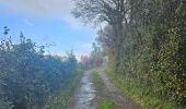 Tocht Noords wandelen Blegny - Petit tour découverte de Cerexhe-heuseu - Photo 2