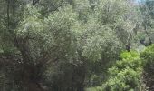 Excursión Senderismo Sóller - MAJORQUE - Gorges de Biniaraix (SOLLER) - Photo 3