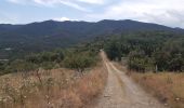 Randonnée Marche Reynès - Reynès, chemin des mas ... pas terrible  - Photo 13