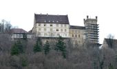 Percorso A piedi Rottenburg am Neckar - Bieringen-Weitenburg - Photo 10