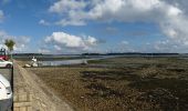 Tocht Te voet Locmariaquer - Entre golfe et océan - Photo 10