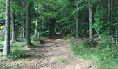 Trail Walking Saint-Flour-de-Mercoire - L’Herm Notre dame des neiges - Photo 15