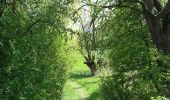 Trail Walking Tinlot - Ramelot-Linchet-Bois de Forkechamps - Photo 7