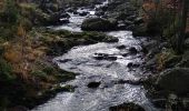 Tour Wandern Jalhay - Hoegne-Polleur-Statte-Dolmen - Photo 14