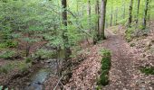Randonnée Marche Spa - barisart . geronstere . creppe . barisart - Photo 2
