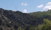 Tour Wandern Gréoux-les-Bains - Gréoux, le Colostre et le Verdon. - Photo 2