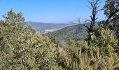 Tour Wandern Le Plan-de-la-Tour - plan de la tour San peire St Sébastien  - Photo 17