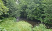 Tocht Stappen Saint-Hubert - rando arville 13/08/2020 - Photo 14