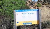 Trail Walking Piana - cappu Rossu  - Photo 6