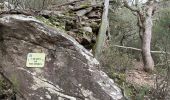 Excursión Senderismo Laroque-des-Albères - La Roque des Albères, les cabanes de Mataporcs - Photo 3