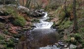 Trail Walking Jalhay - Hoegne-Polleur-Statte-Dolmen - Photo 16