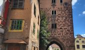 Randonnée Marche Molsheim - Molsheim - Fort de Mutzig - Balade dans les vignes - Photo 13