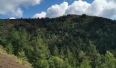 Excursión Senderismo Saint-Genès-Champanelle - puy de labassol, puy de la vache depuis la cassièrre  - Photo 10