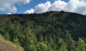 Tour Wandern Saint-Genès-Champanelle - puy de labassol, puy de la vache depuis la cassièrre  - Photo 10