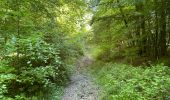 Trail Walking Fleury - en Forêt de Retz_92_05_2022_Rond d'Orléans_Chapeau des Cordeliers_la Laie des étangs de Longpont - Photo 14