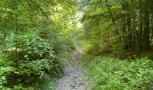 Tour Wandern Fleury - en Forêt de Retz_92_05_2022_Rond d'Orléans_Chapeau des Cordeliers_la Laie des étangs de Longpont - Photo 14