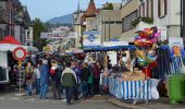 Tour Zu Fuß Wald (ZH) - Wald - Farneralp - Photo 9