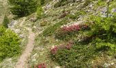 Excursión  Saint-Étienne-de-Tinée - Tête de l autaret Lagos colla longa - Photo 8