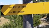 Randonnée Marche Ubraye - 2022-08-10 - Trace le Touyet - Photo 4