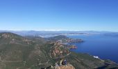Trail Walking Saint-Raphaël - Pic d'Aurelle-Pic du Cap Roux - Grotte St Honorat depuis col Belle Barbe - Photo 7