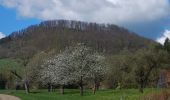 Percorso A piedi Schwäbisch Gmünd - Glaubensweg 4 - Photo 7