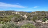 Tour Wandern Cadaqués - Cap Creus effacer trace excédentaire  - Photo 15