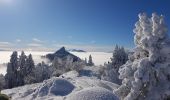 Tocht Sneeuwschoenen Sarcenas - Le  Mont Fromage et ses crêtes - Photo 5