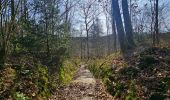 Trail Walking Viroinval - Balade à Le Mesnil - Viroinval - Photo 12