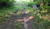 Tocht Stappen La Ferrière - La Ferrière - Photo 6