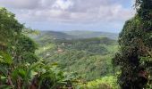 Tocht Stappen Le Vauclin - Boucle Montagne Vauclin - Photo 16