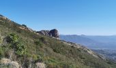 Trail Walking Appietto - Mont Gozzi en partant de la chapelle San Chirgu d'Appieto - Photo 14