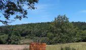 Tour Wandern Peyre en Aubrac - le rocher du Cher - Photo 12