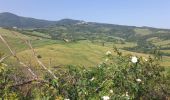 Tour Wandern Castiglione d'Orcia - San Quirico / Radicofani - Photo 10